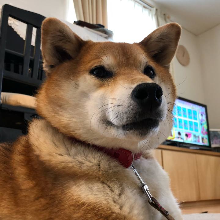 7ea3e700 6d87 4c08 9d3d b16d5e08b241 1588133205341