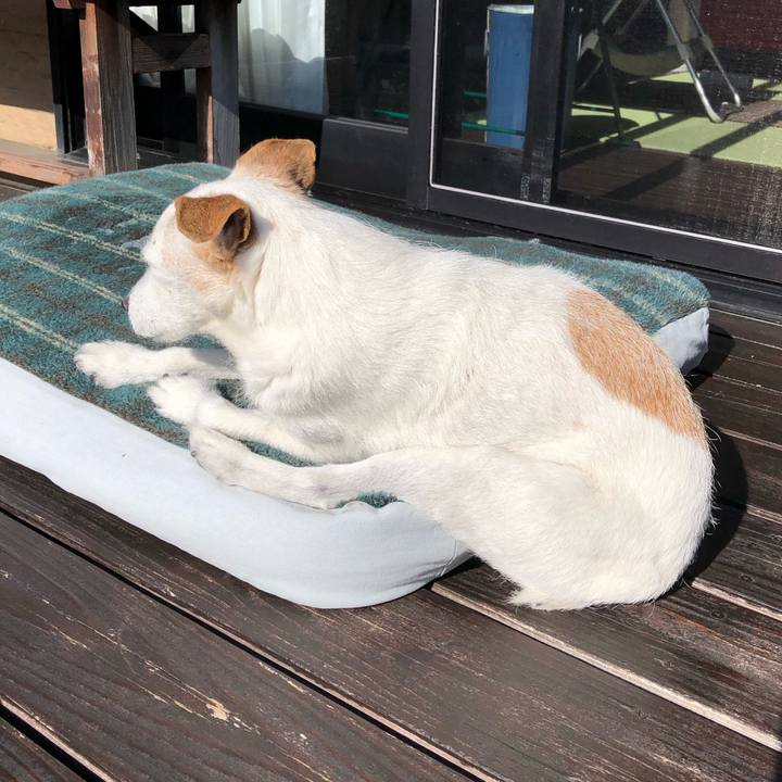 7ea43f02 7107 4f5a 83b0 11031d017b2e 1637903490964