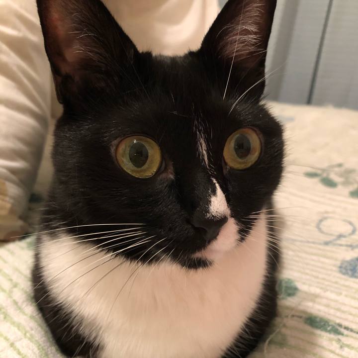 7ea442f1 c853 4fa8 a068 901c773201e7 1541544728908