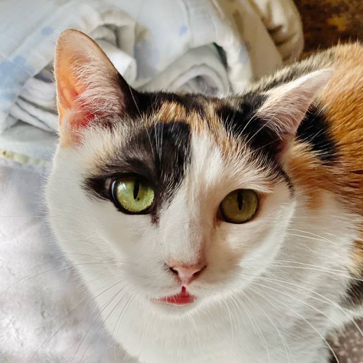 7ea48496 c6cf 4f86 8881 381ec55033bb 1656986266958