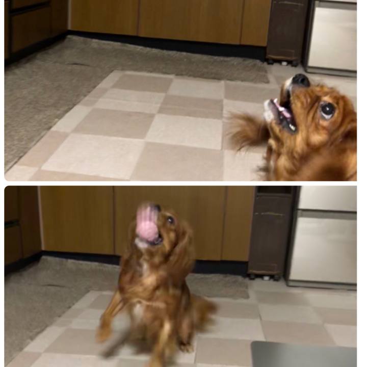 7ea4bf8a e382 436f a2cf cbeaf50acf99 1567687639769