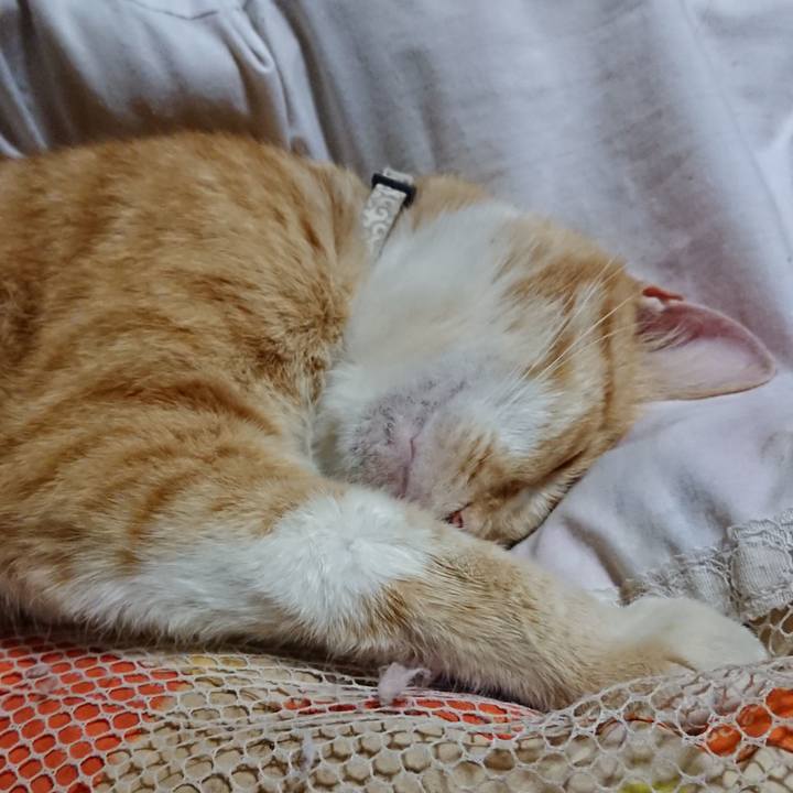 7ea4e7fb bda0 419e 8f6c 9d2c4e2898f5 1591100646906