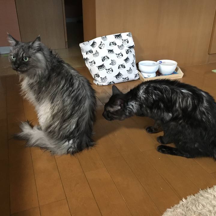 7ea4ec72 e217 4152 9354 ba6978c53f10 1563948718104