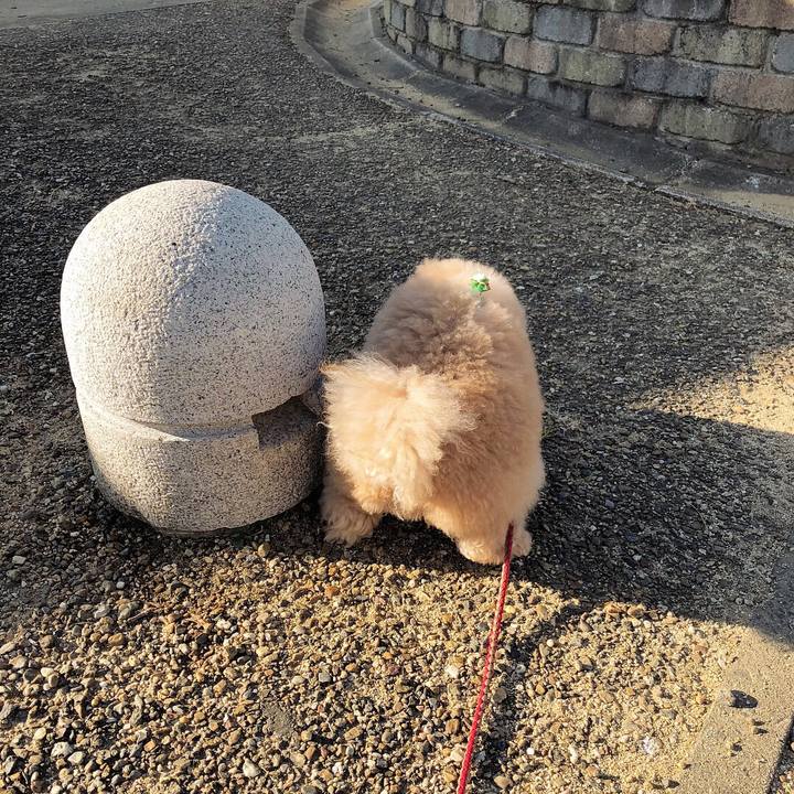 7ea4f854 b4d8 49ed a7d4 2588d3c51392 1513909102285