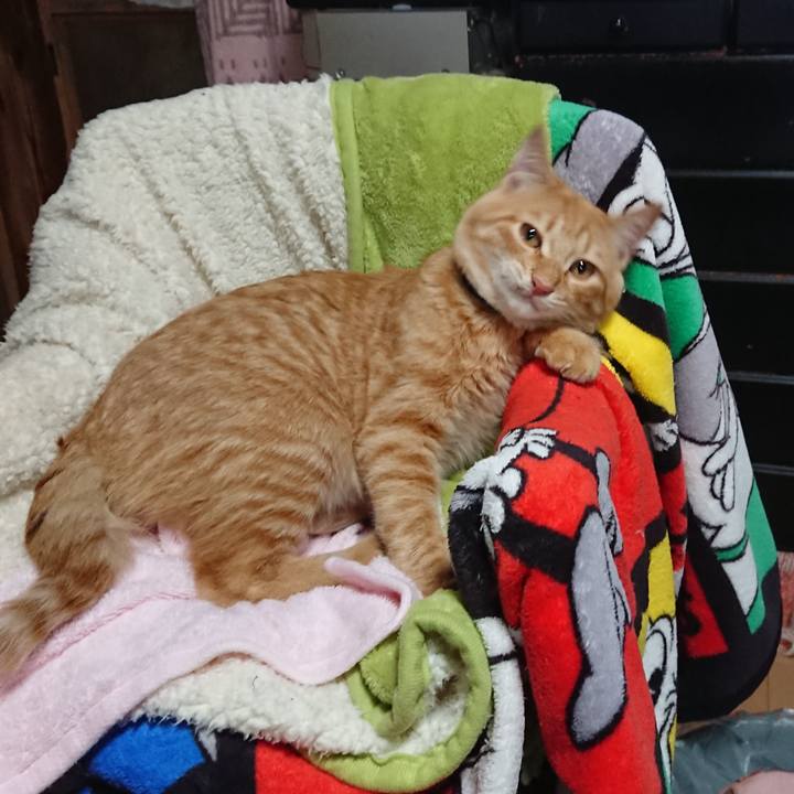 7ea4f916 a60b 469c 8782 7a98b0d4333f 1635891653558