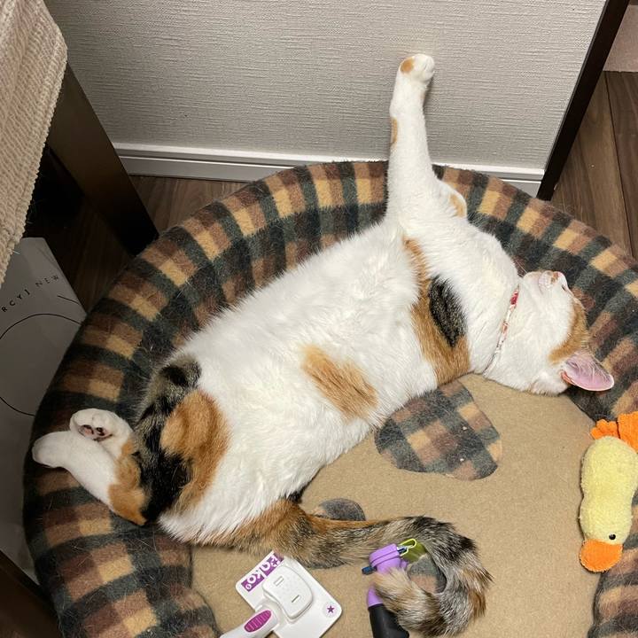 7ea51012 dd2e 4b42 aa72 85a02970bd73 1640771703222