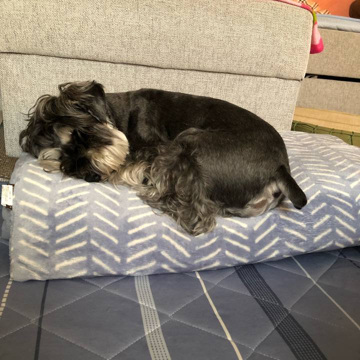 7ea51ae7 a937 45d6 bad0 1f67c06fcd85 1692523473475