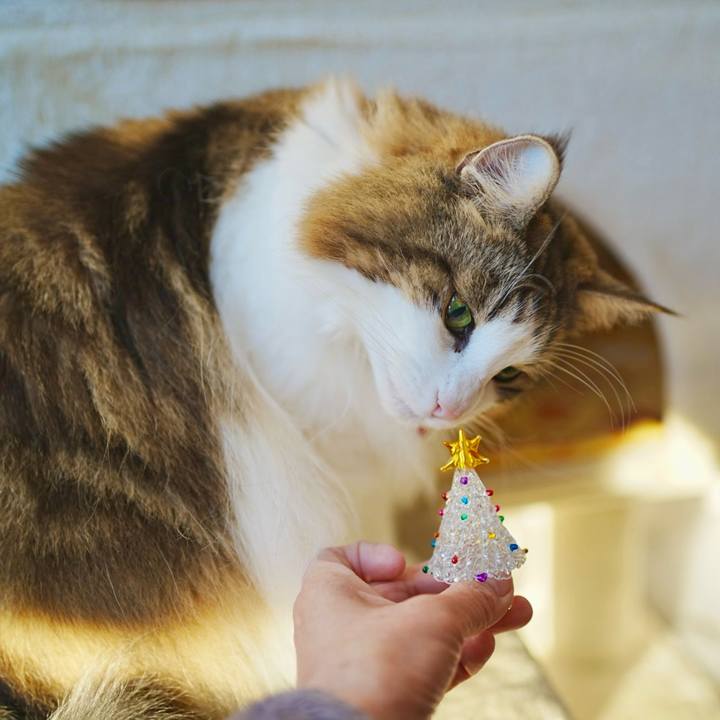 7ea5247b cc71 4a01 a68c 51be9574f89f 1703330835466