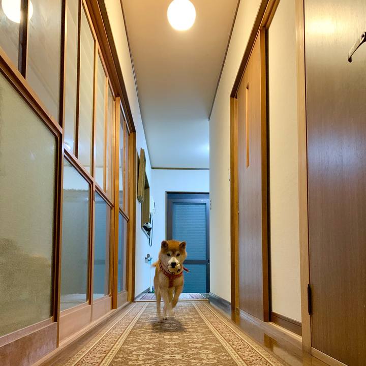 7ea534dc 9458 45f2 9ac0 7379f8dfd683 1618310712985