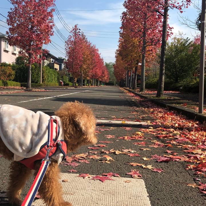 7ea550df 08f1 4ff8 822c b5c673d6b9fe 1636038708988