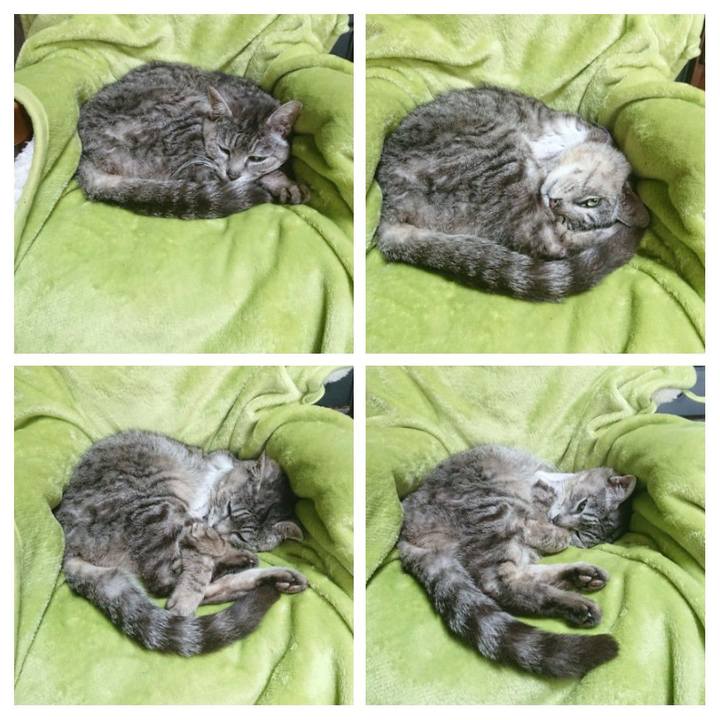 7ea5a59a 7118 4125 a2d3 50a65fbeae2a 1587872390369