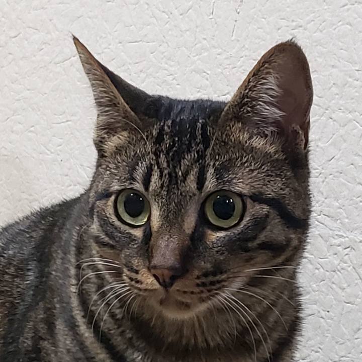 7ea5a8c9 9dfc 4d2f 80fe 85547ddd43e8 1556698214647