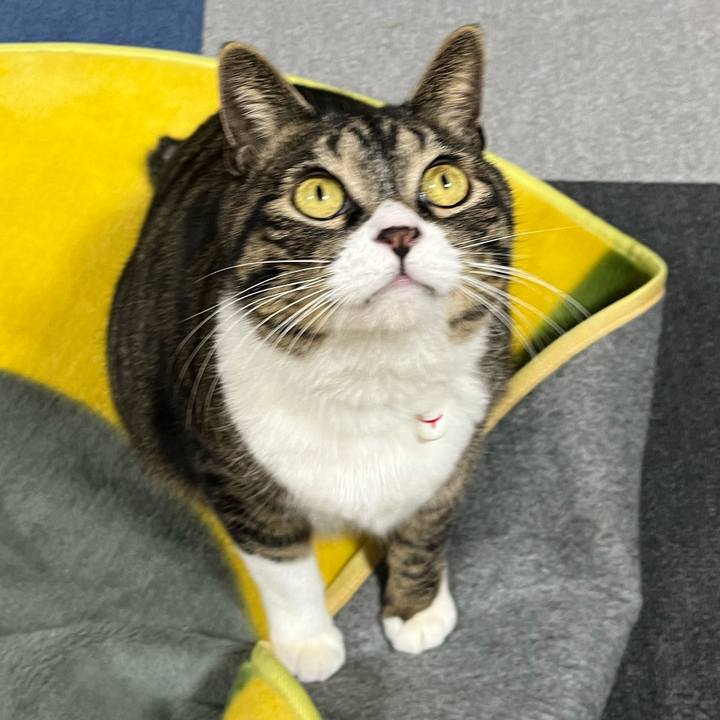 7ea5aad9 4951 4156 8e8d 51b45e5cf9b8 1767656707254