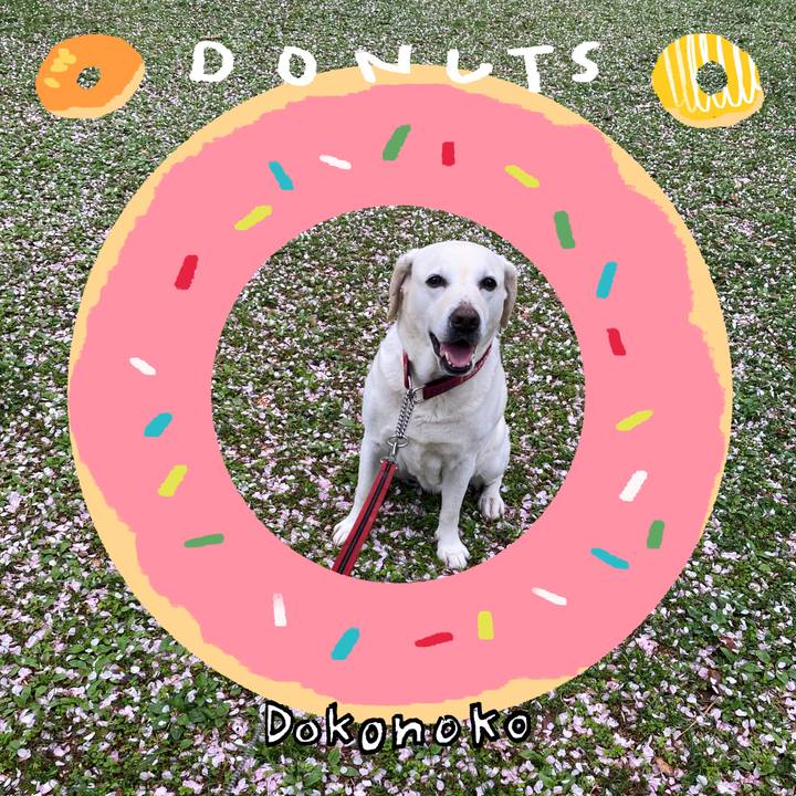 7ea5acff 1cf4 495f a235 052b4304452e 1744806392314