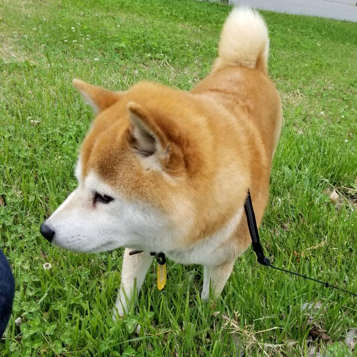 7ea5adc7 87dc 4ae3 b2ac 0b0a1b9e5bc5 1590479118996