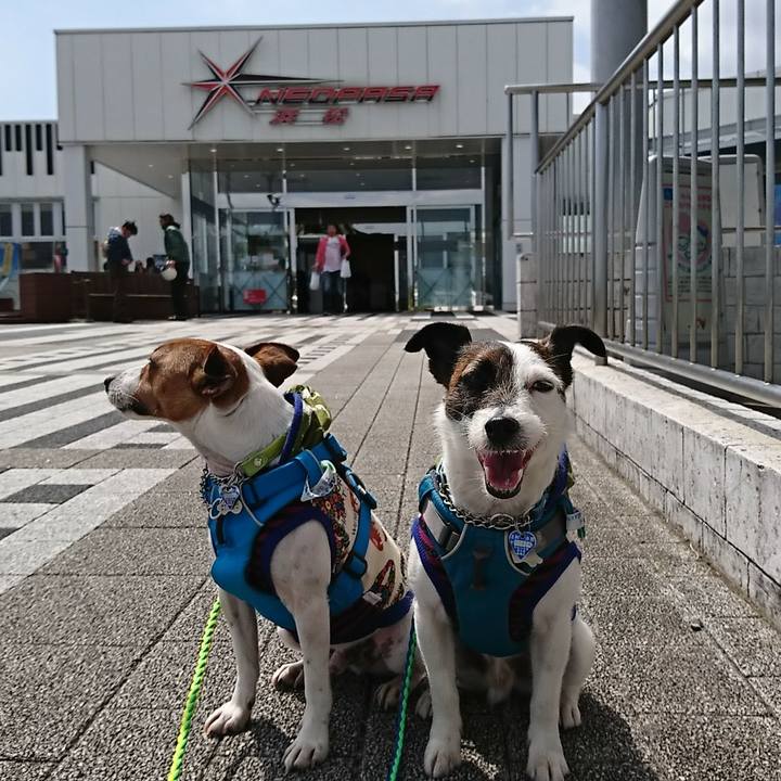 7ea610b4 cf13 4493 942d 3de370340e05 1555734636838