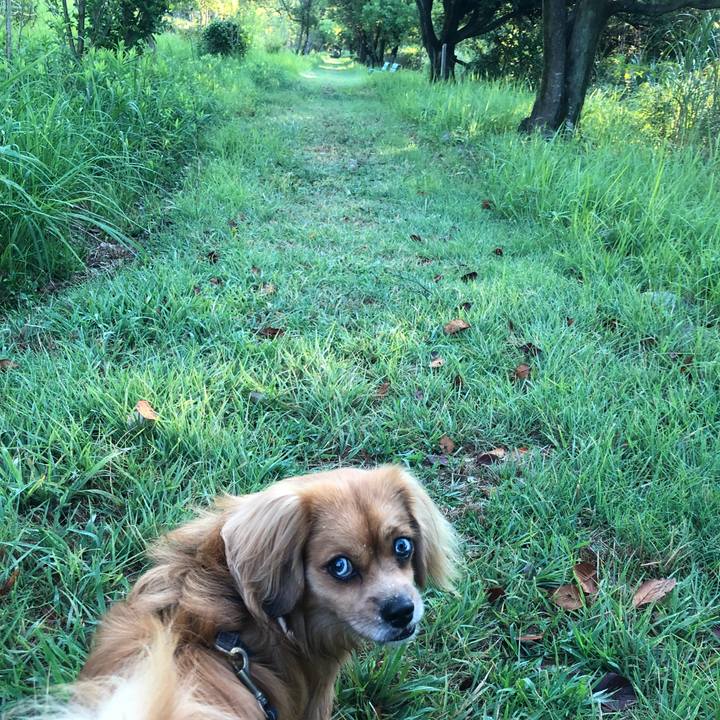 7ea70b6d bedb 435f 8b3a 1eefc0ae5c6f 1535320904470