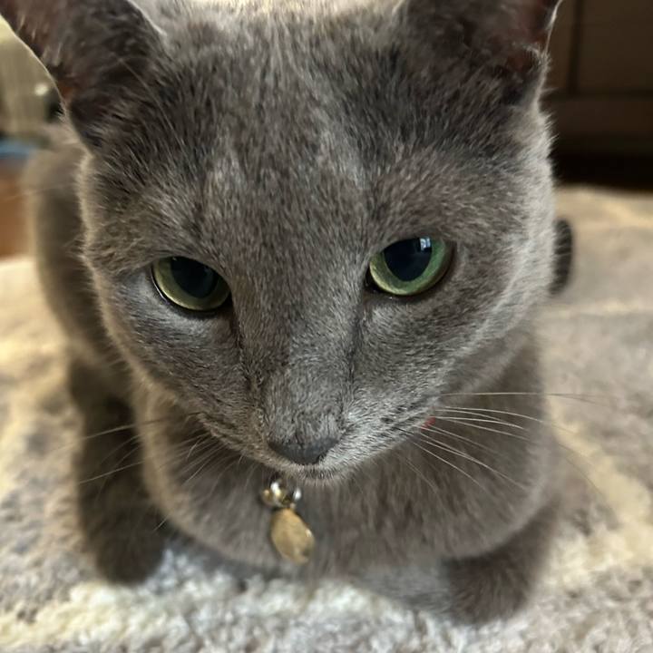 7ea73606 0a26 4efc b4e5 68131463f51f 1691189983681