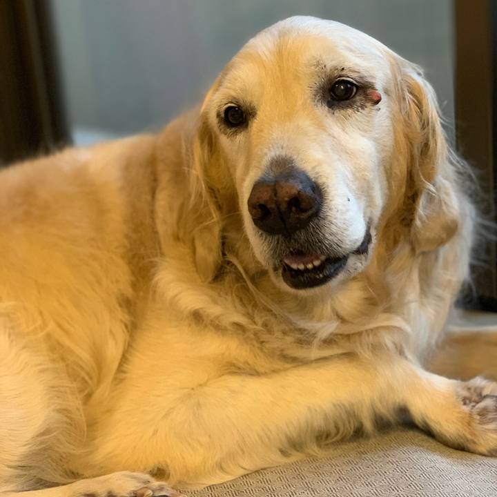 7ea74d50 c3b3 4c9c 8c83 19f942cfe555 1554847240305