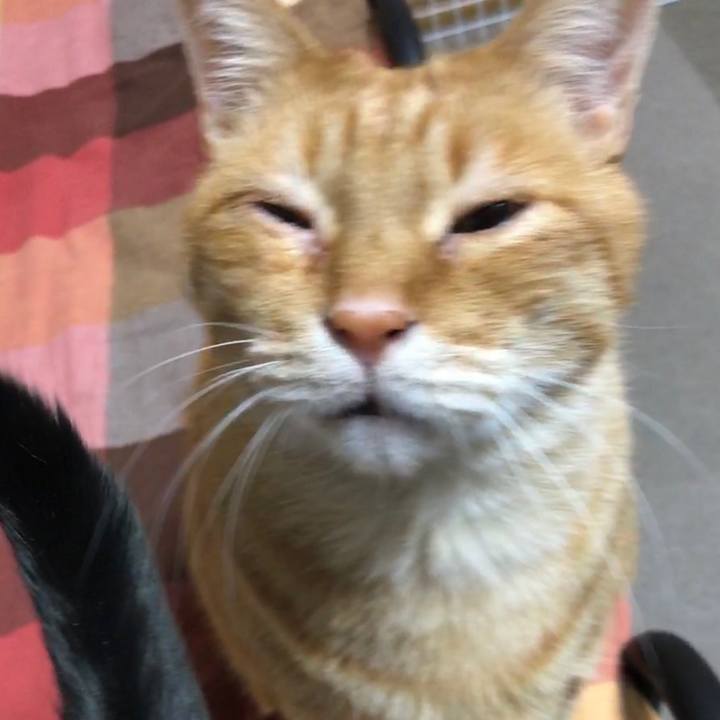 7ea75b0b 9168 4026 a73f a13a6c52c5c5 1671744178158