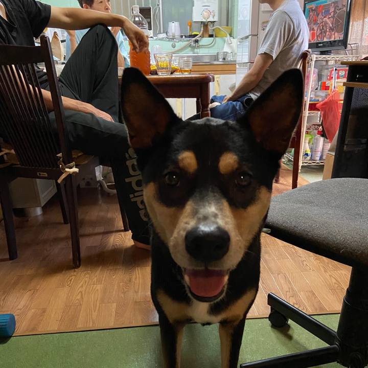 7ea75d23 0c4b 4f34 9024 47c1f646feaa 1628429257751