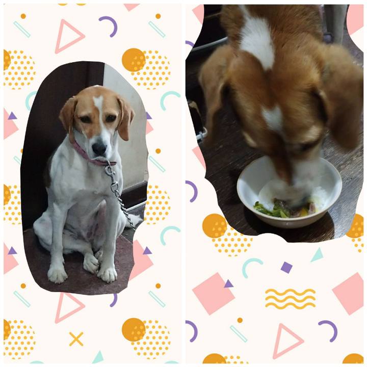 7ea77185 ca7c 4255 b88f 7e8563e52ead 1589799835684