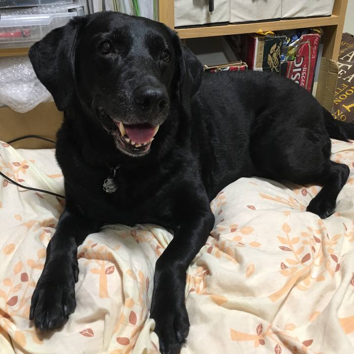 7ea78af1 6bfe 464e b26c 2c25bb326e87 1577324795565