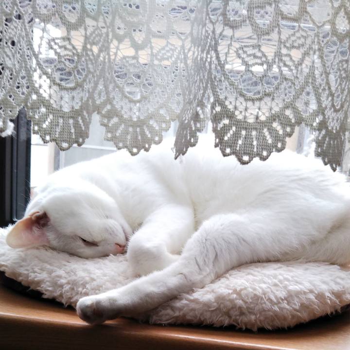 7ea790d6 0bb3 4fb9 8a7c ab878737631a 1547947369400