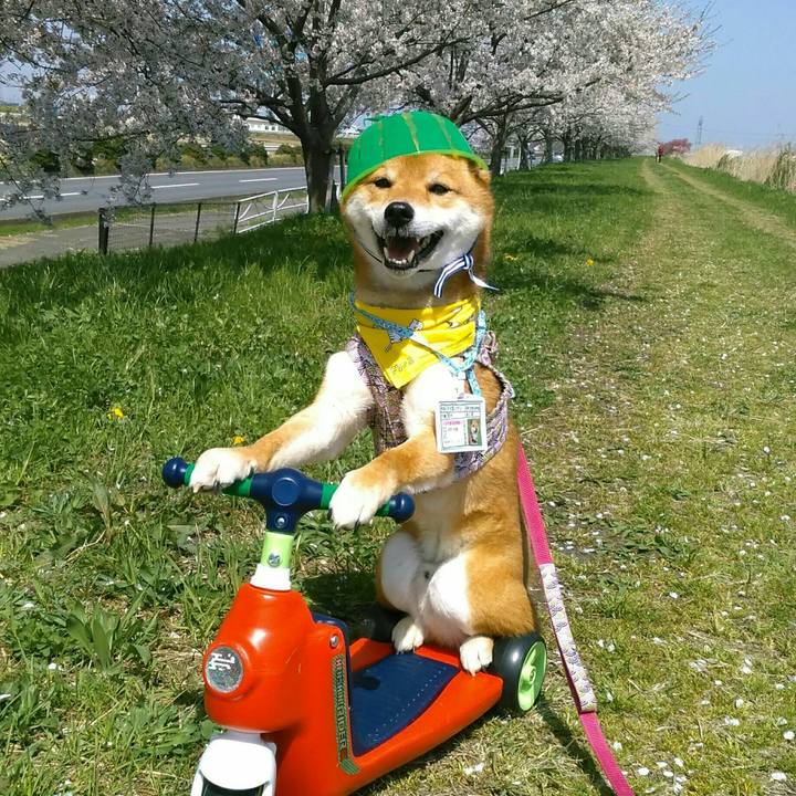 7ea7fec0 fc65 4e7f add7 f2d12d672c66 1522489457556