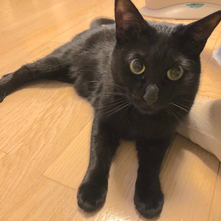 7ea8142b 6934 473d a3aa 7ab679454f52 1514289154175