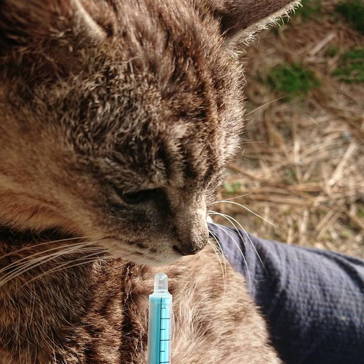 7ea837a6 08d3 4d9f 9e04 16ab37045d86 1593724109158