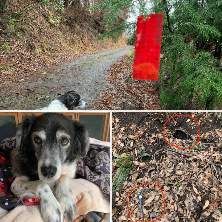 7ea84080 3be9 4e78 b03f baaf1f02613e 1583032453313