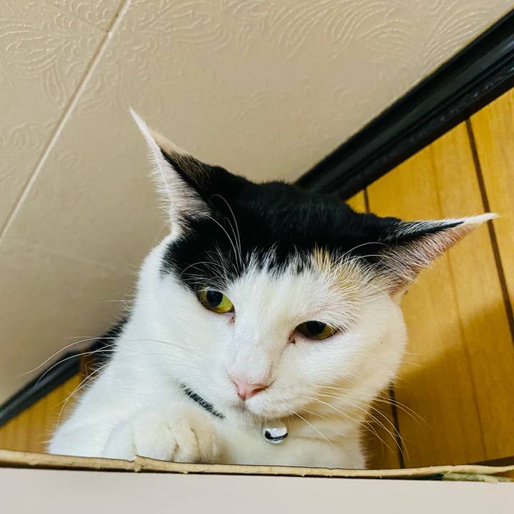 7ea8410e 8988 4bc3 9573 d1c48550654e 1661609135207