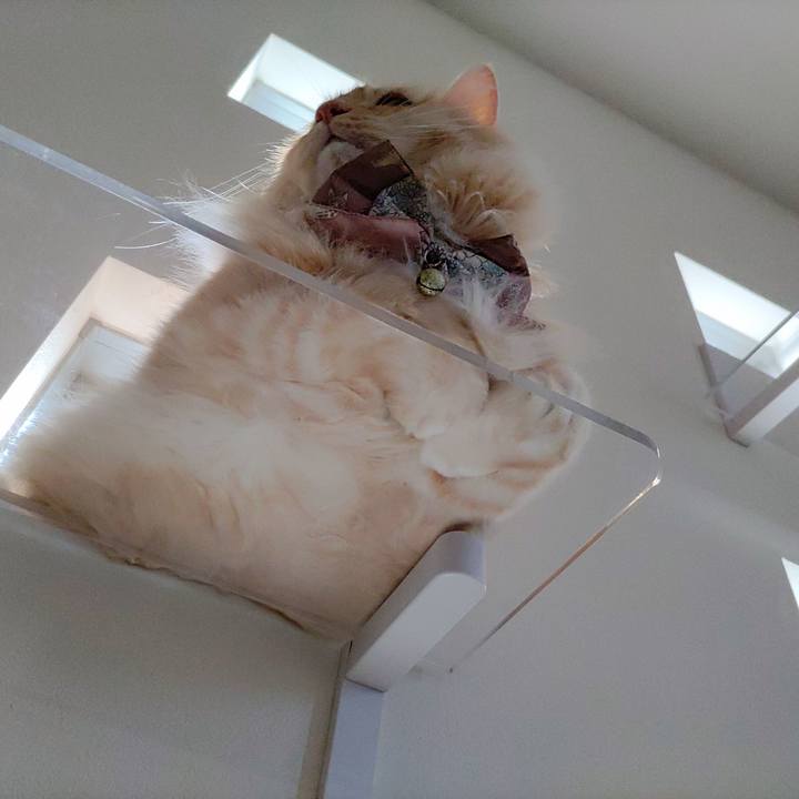 7ea85c54 dd9c 491a bfec d40e2d7e2ee1 1724711070021