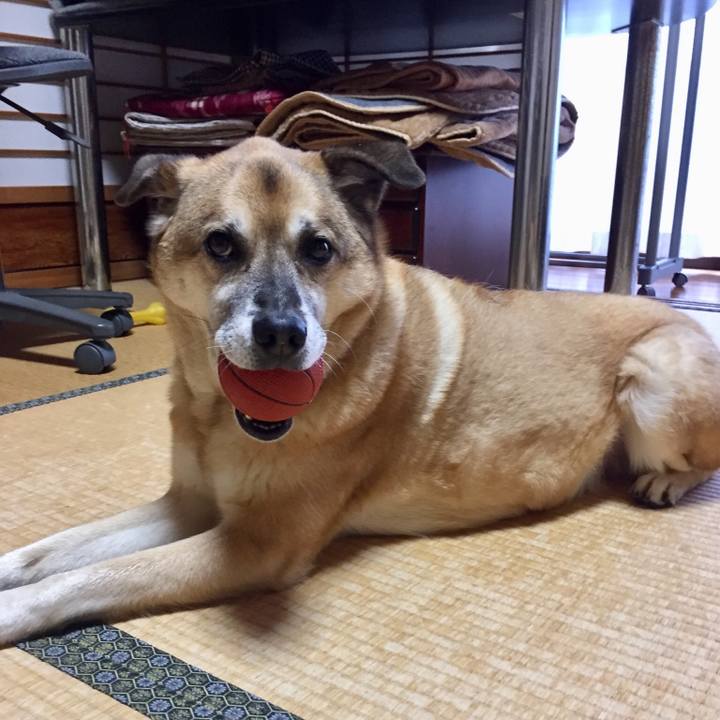 7ea87767 a2f1 4313 8f06 e99a726ded4f 1552209044355