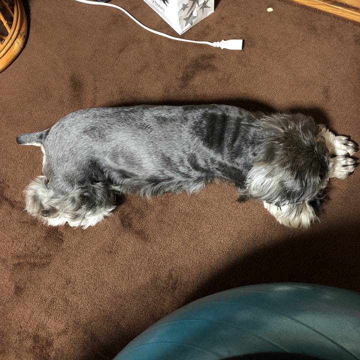 7ea8ac0a 752d 416d a2ea 71719ba533eb 1557923925858