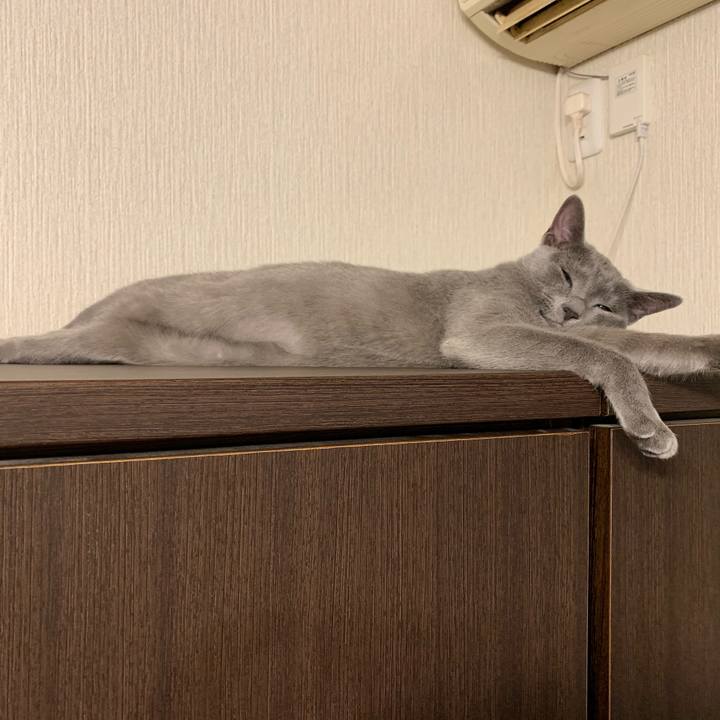 7ea8af40 2469 4e4f 9ad9 15549c241c9d 1575061609179