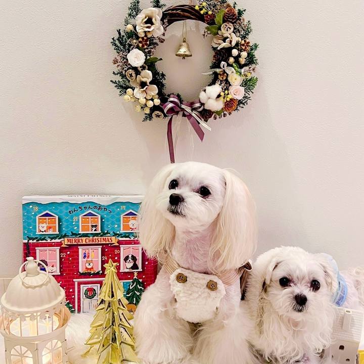 7ea8d16a ea7c 4261 a0ce 534571e4f357 1699965156197