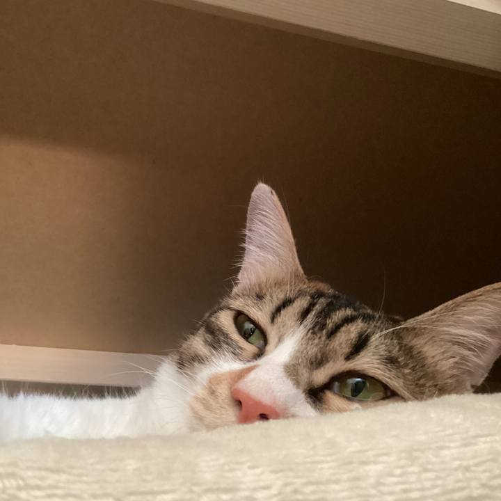 7ea8d50f eada 4422 9cb7 cbec72ed468f 1691552157442