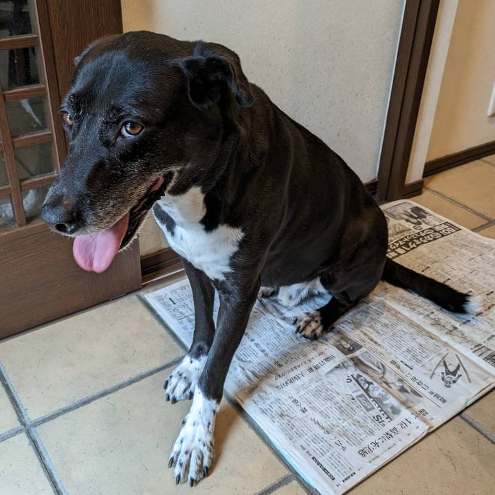 7ea8fc28 e56b 4a9d 8726 ef737ccac6df 1717982198362