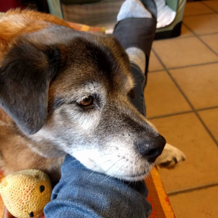 7ea92677 4565 4213 9384 4ae8ee8a3628 1556097222203