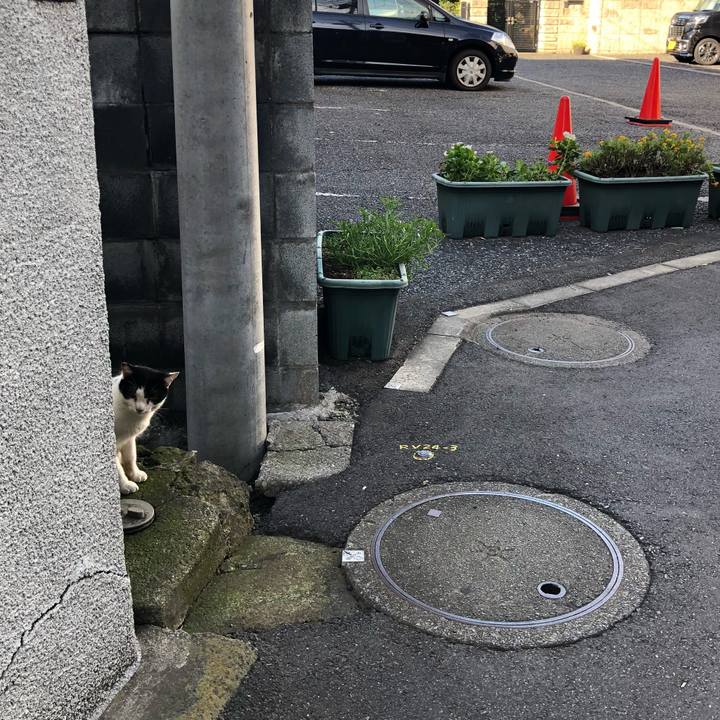 7ea94431 2470 4734 87cd 633ed2a756cd 1538396979728