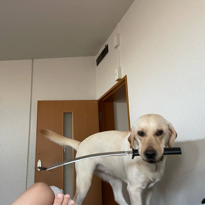 7ea99e62 fba2 47eb a2af 08e990ba1c64 1659831255863