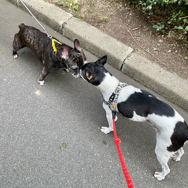 7ea9b2a8 140d 47f2 8063 ccd9136a1556 1630018911707