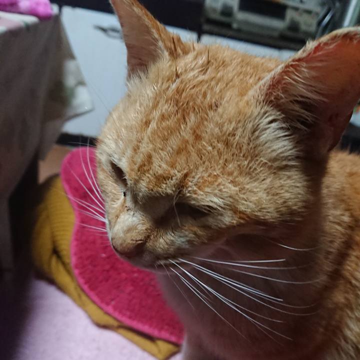 7ea9c214 f7f5 4d10 95f6 0a00a1ffaf84 1554355487004