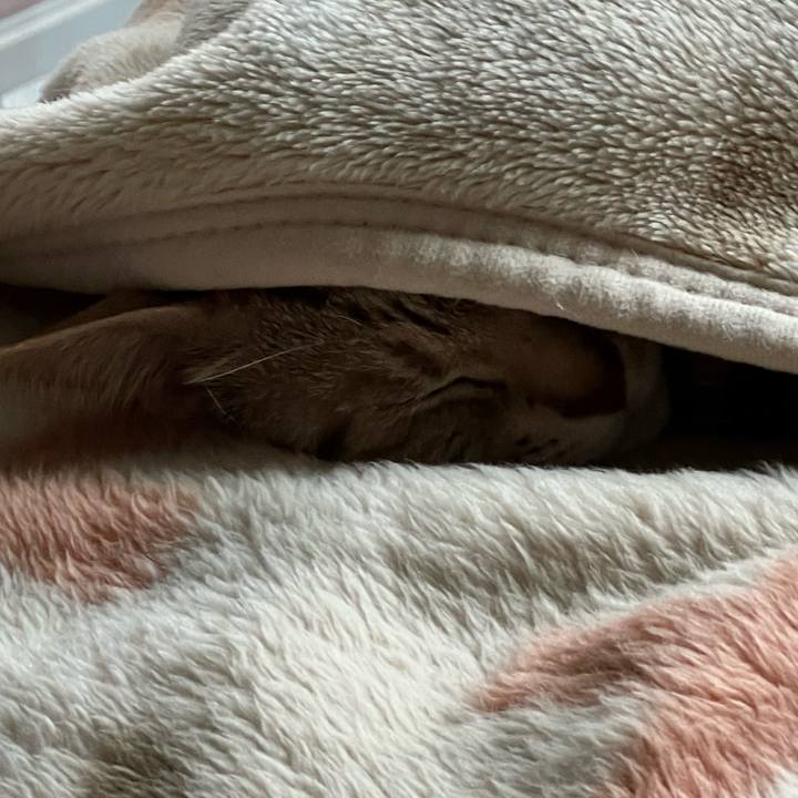 7eaa0920 b9ad 4012 82fa 84d22d0aa08c 1681797887816