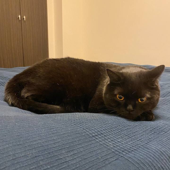 7eaa4833 740d 4ea3 9498 8ff4c5174581 1636630942734