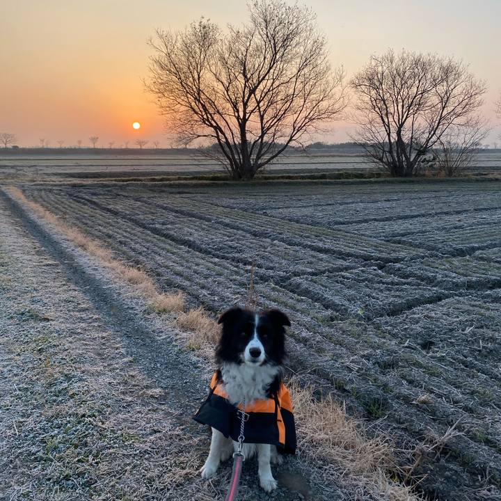 7eaa4ae4 dd9c 4f9f 9e95 a5aab46c6fa7 1608676867677