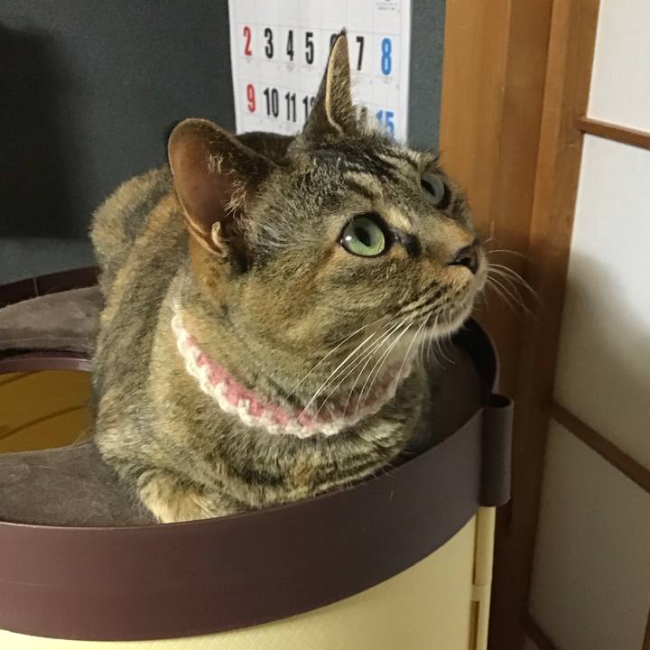 7eaa7403 a115 4ae2 92f6 f33181ec7bdc 1690459871975