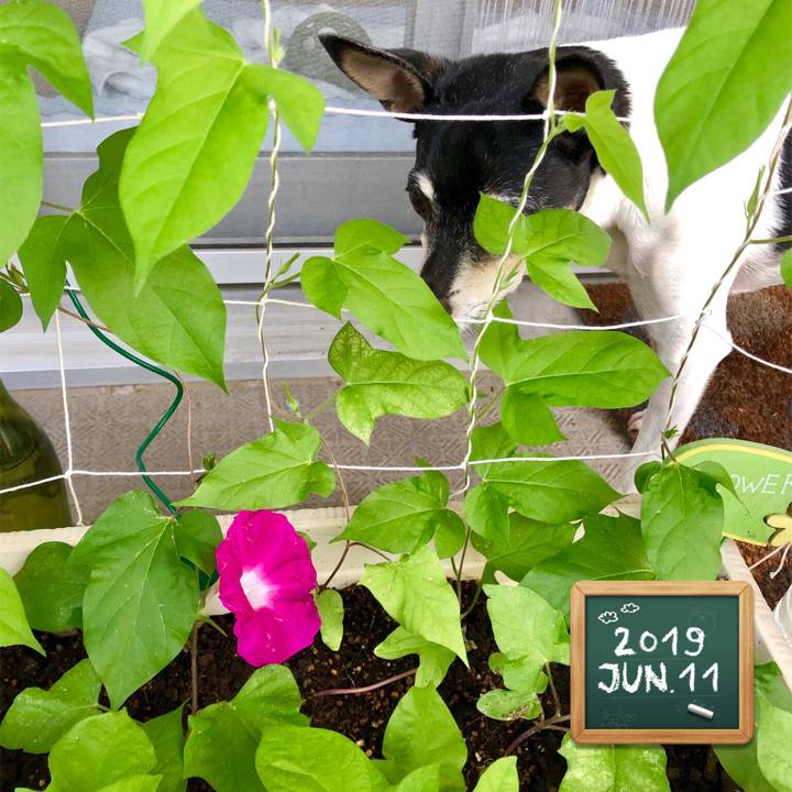 7eaac94c 9289 4269 a300 8d34ff71268c 1560202705726